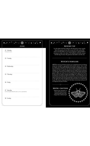 2026 Witch's Diary: Southern Hemisphere