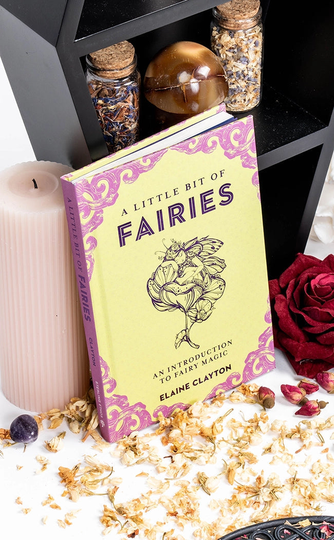 A Little Bit Of Fairies | An Introduction to Fairy Magic