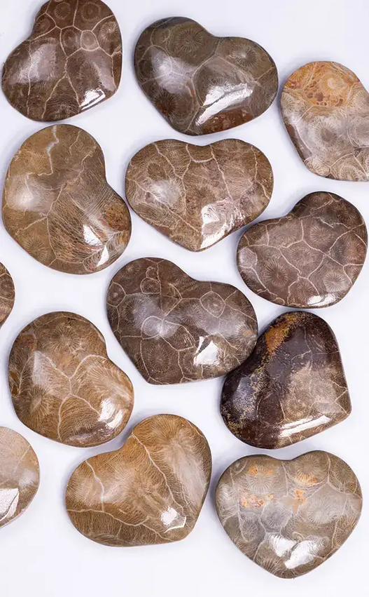 Agatized Fossil Coral Hearts-Crystals-Tragic Beautiful