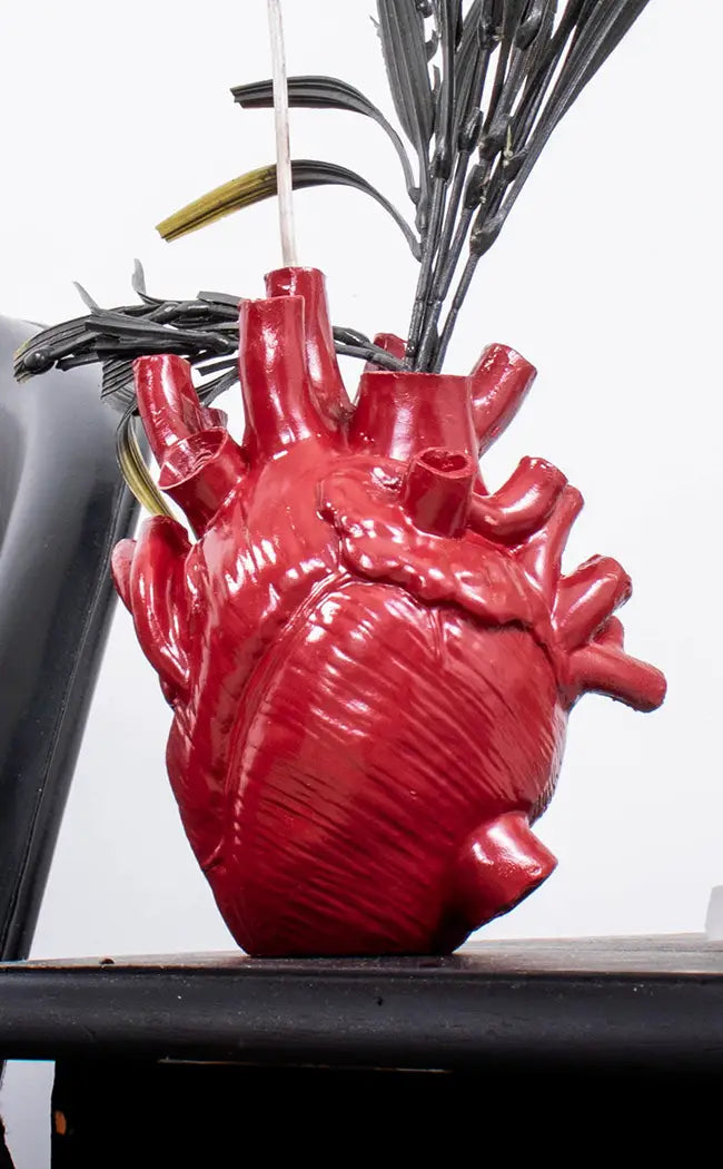 Anatomical Heart Vase | Red