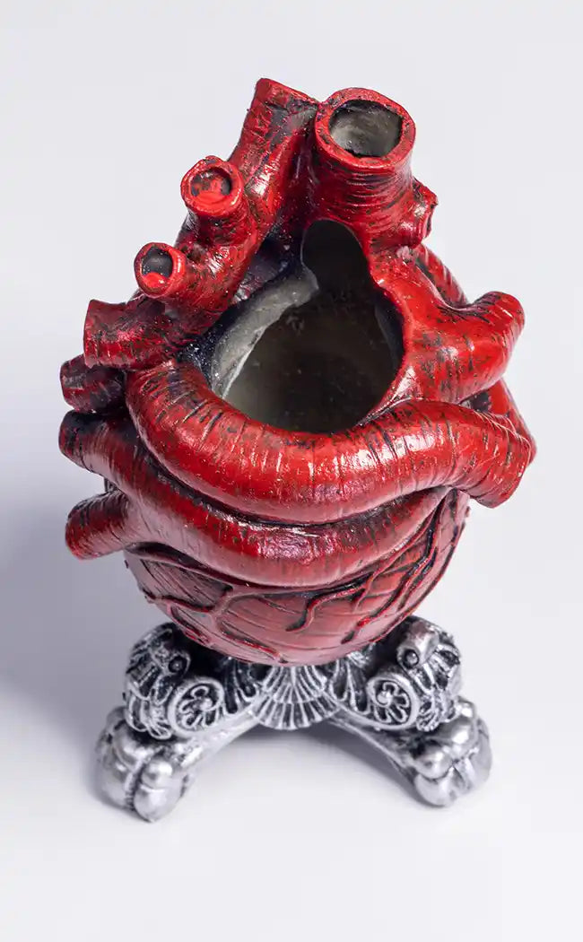 Anatomical Heart Vase | Red-Killstar-Tragic Beautiful