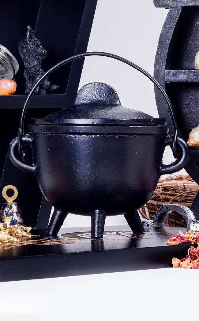 Black Cast Iron Cauldron With Lid-Cauldrons-Tragic Beautiful