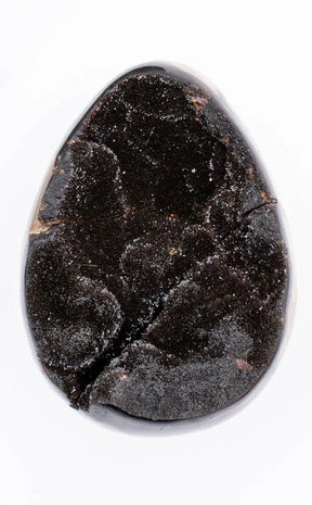 Black Druzy Dragon Egg | Natural Septarian Nodule | 1.28kg-Crystals-Tragic Beautiful