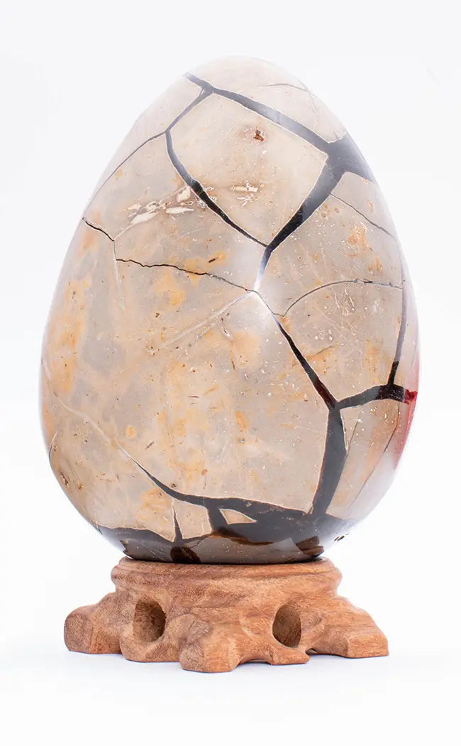 Black Druzy Dragon Egg | Natural Septarian Nodule | 1.28kg-Crystals-Tragic Beautiful