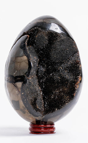 Black Druzy Dragon Egg | Natural Septarian Nodule | 1.58kg