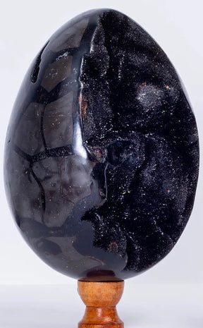 Black Druzy Dragon Egg | Natural Septarian Nodule | 2.27kg-Crystals-Tragic Beautiful