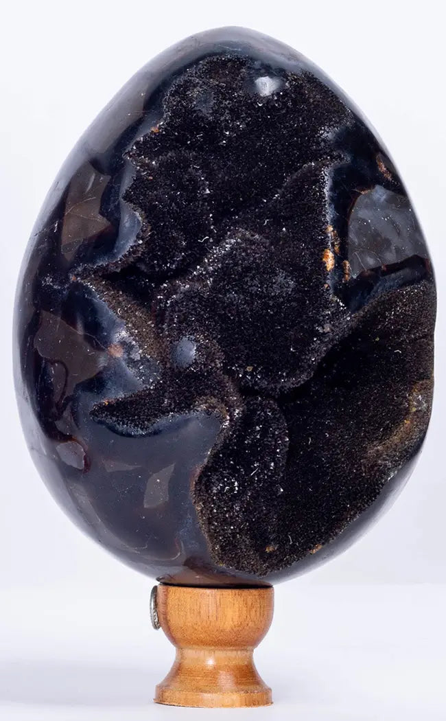 Black Druzy Dragon Egg | Natural Septarian Nodule | 2.27kg-Crystals-Tragic Beautiful
