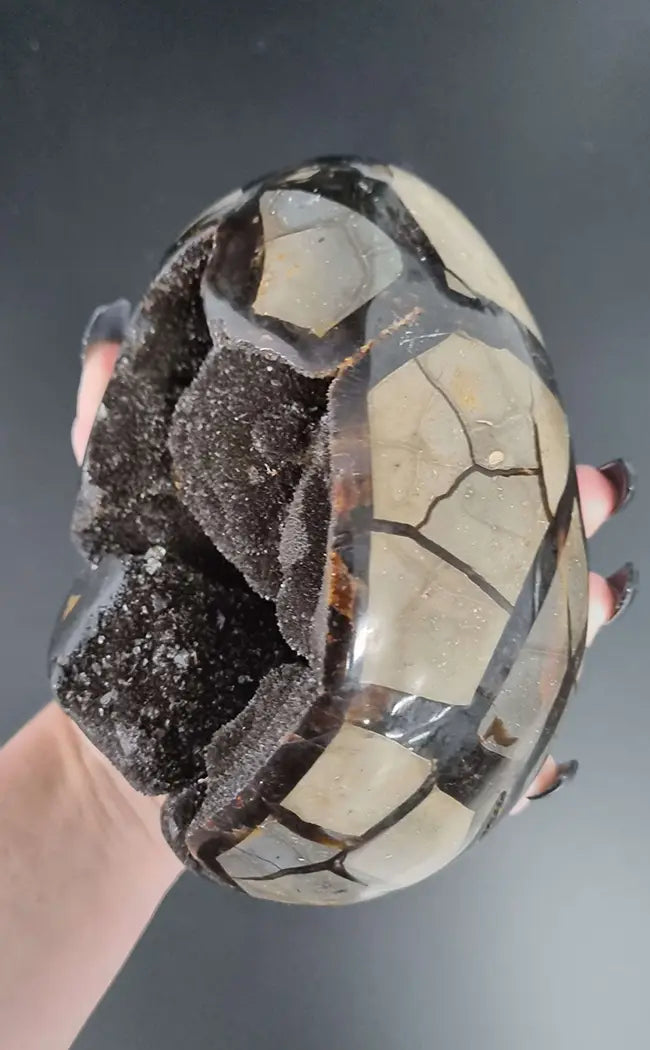 Black Druzy Dragon Egg | Natural Septarian Nodule | 2.5kg-Crystals-Tragic Beautiful