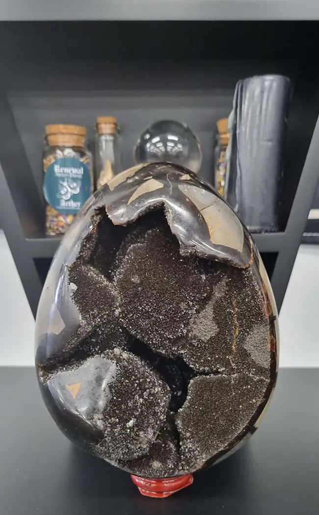 Black Druzy Dragon Egg | Natural Septarian Nodule | 2.5kg-Crystals-Tragic Beautiful