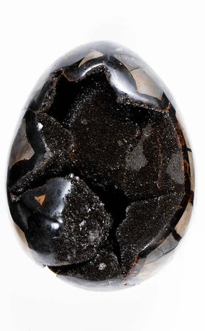 Black Druzy Dragon Egg | Natural Septarian Nodule | 2.5kg