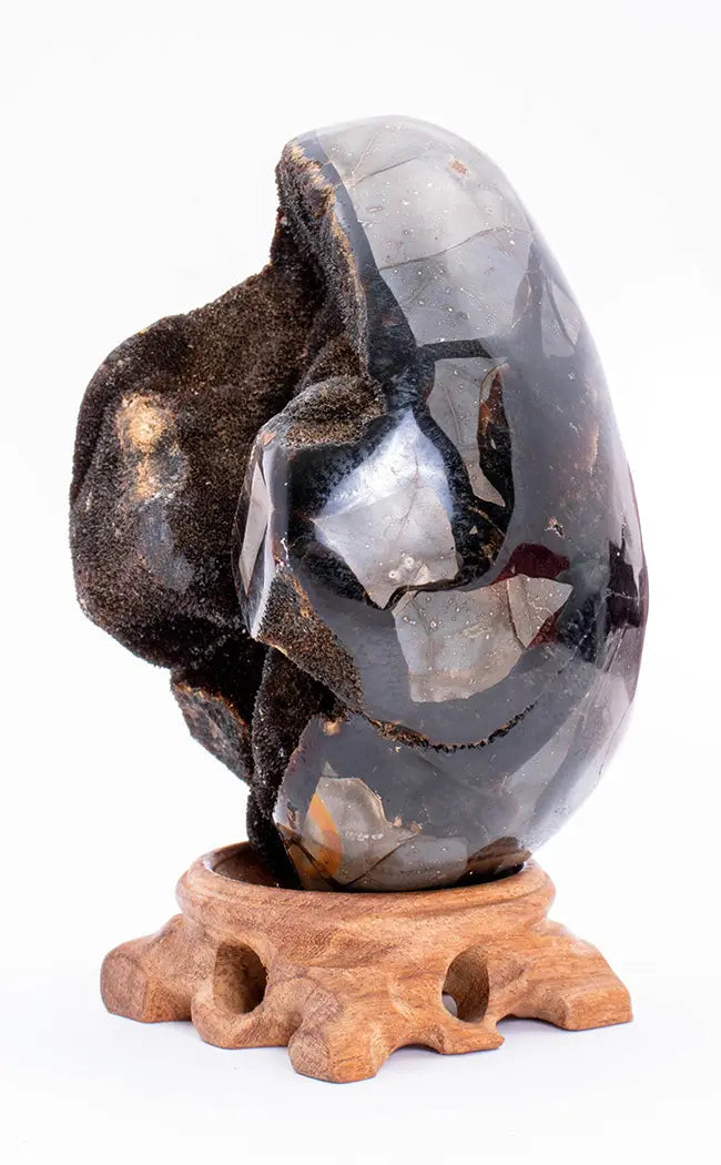 Black Druzy Dragon Egg | Natural Septarian Nodule | 970g-Crystals-Tragic Beautiful