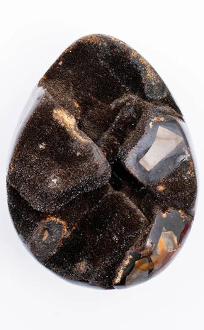 Black Druzy Dragon Egg | Natural Septarian Nodule | 970g