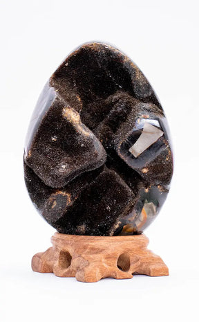 Black Druzy Dragon Egg | Natural Septarian Nodule | 970g-Crystals-Tragic Beautiful