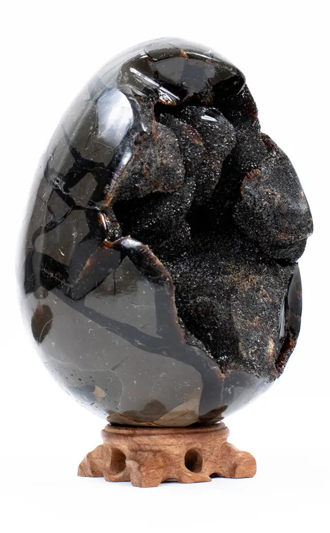 Black Druzy Dragon Egg | Natural Septarian Nodule | HUGE 3.6kg-Crystals-Tragic Beautiful
