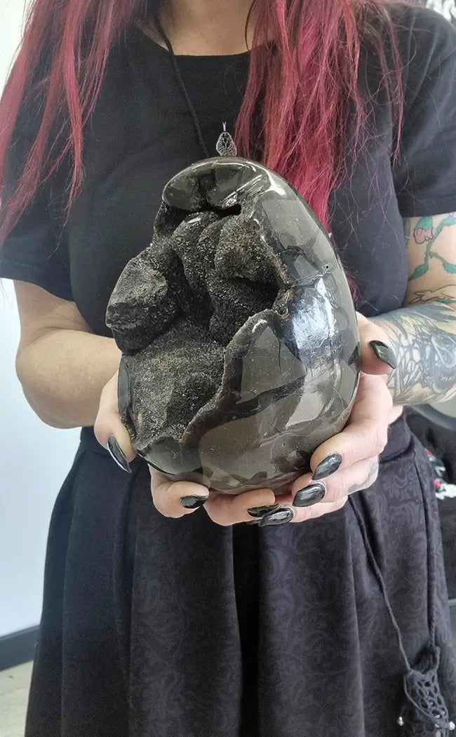 Black Druzy Dragon Egg | Natural Septarian Nodule | HUGE 3.6kg-Crystals-Tragic Beautiful