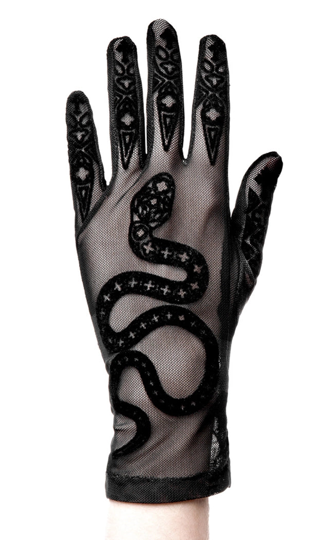 Cathedral Snake Mesh Gloves