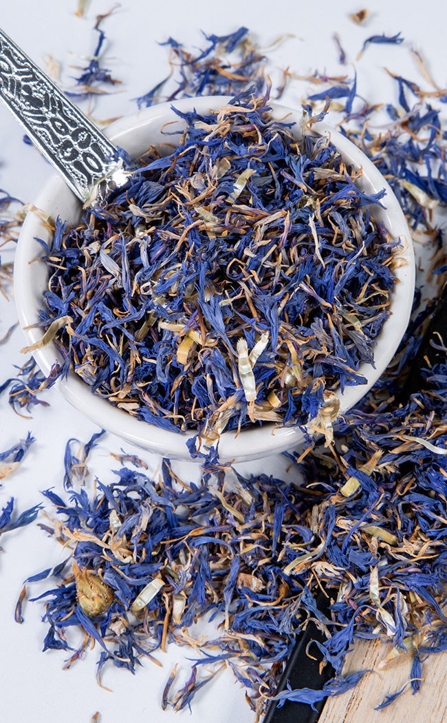 Blue Cornflower | Witchcraft Herbs-Witch Herbs-Tragic Beautiful