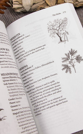 Cunningham's Encyclopedia Magical Herbs-Occult Books-Tragic Beautiful
