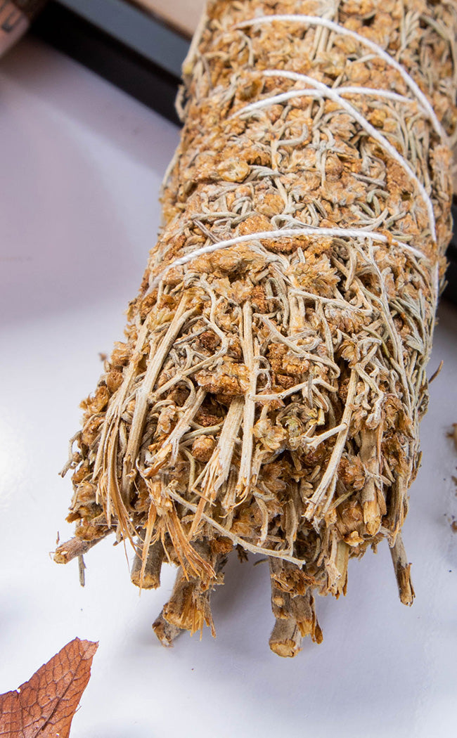 Desert Sage Smudge Stick | 10cm-Witch Herbs-Tragic Beautiful