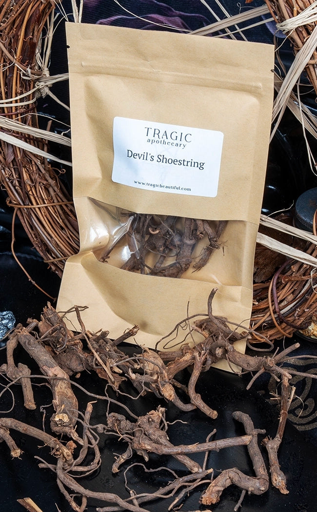 Devils Shoestring | Witchcraft Herbs