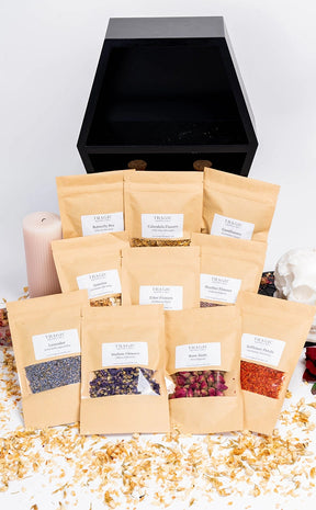 Dried Flowers x 10 Bundle Pack | Witchcraft Herbs