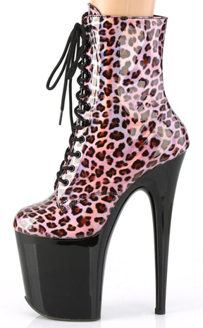 FLAMINGO-1020LP Pink Holo Leopard Print/ Black Patent Ankle Boots-Pleaser-Tragic Beautiful