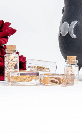 Fiddler Crab in Resin Curiosity-Oddities & Curiosities-Tragic Beautiful