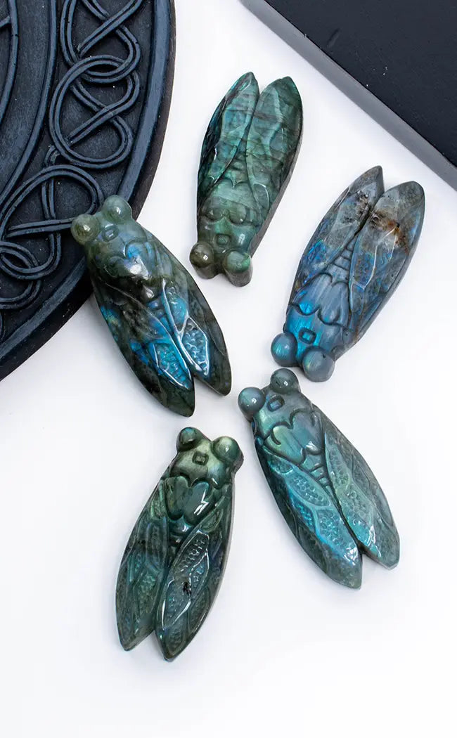 Flashy Labradorite Carved Cicadas
