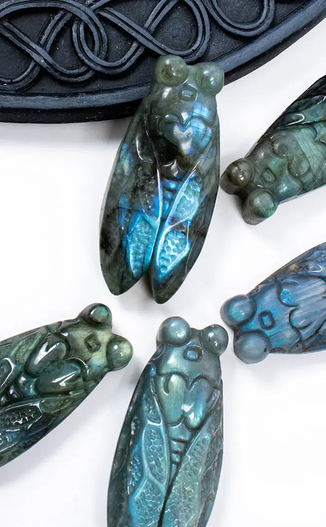 Flashy Labradorite Carved Cicadas-Crystals-Tragic Beautiful