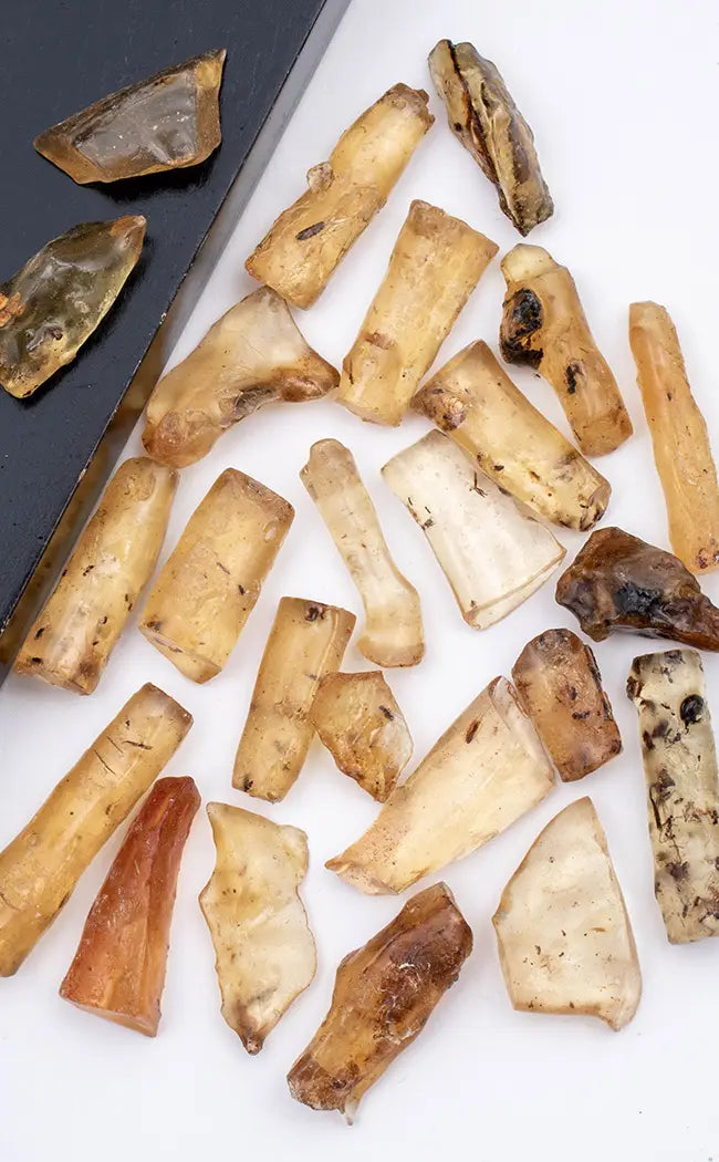 Genuine Amber from Madagascar | Very Rare-Crystals-Tragic Beautiful