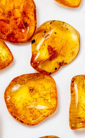 Genuine Baltic Amber with Insects | Rare