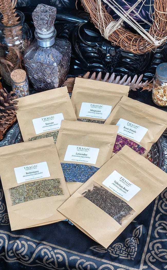 Herb Essentials Bundle Pack | Witchcraft Herbs