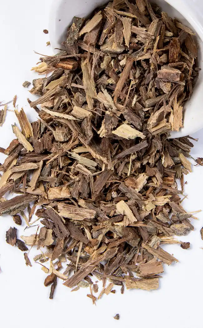 Jamaican Dogwood Root | Witchcraft Herbs-Witch Herbs-Tragic Beautiful