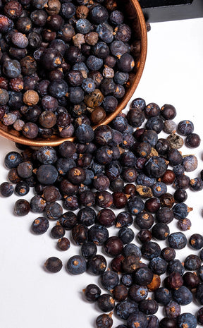 Juniper Berries | Witchcraft Herbs