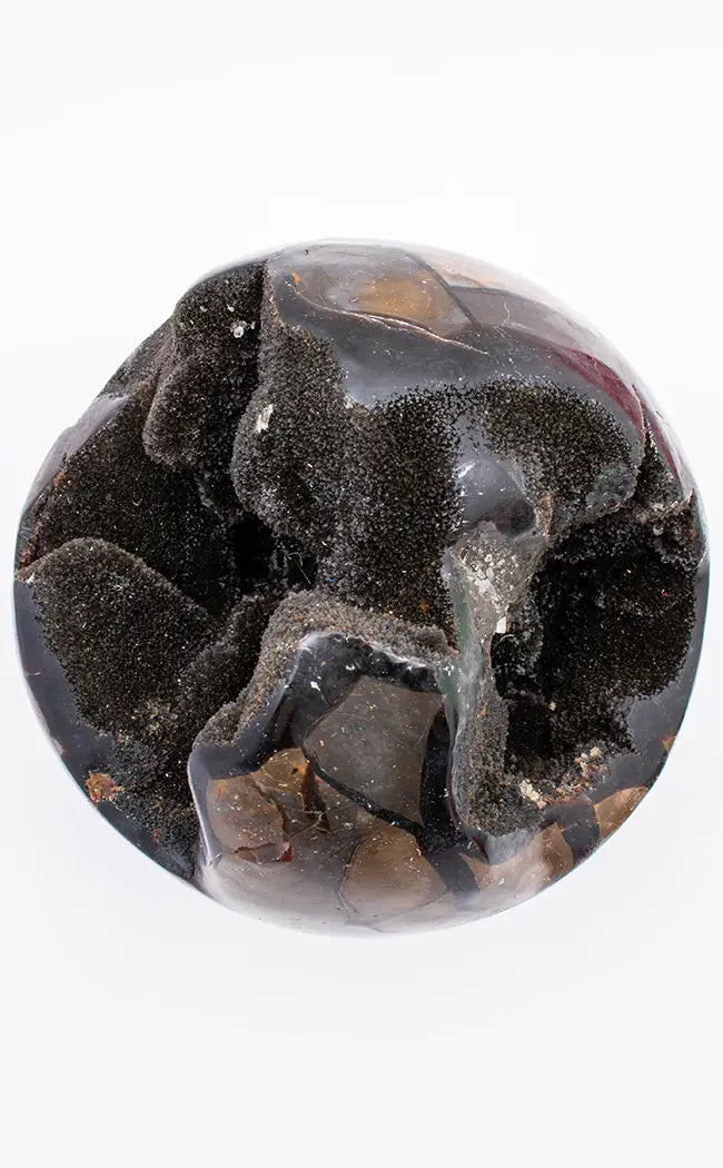 Large Black Dragon Egg Septarian Sphere | 3.13kg-Crystals-Tragic Beautiful