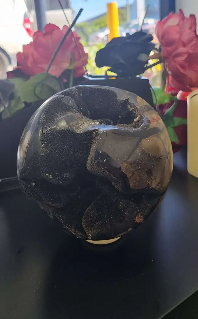 Large Black Dragon Egg Septarian Sphere | 3.13kg