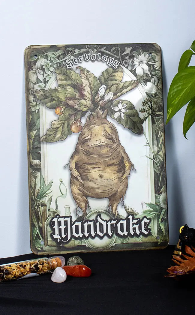 Mandrake Herbology Tin Sign