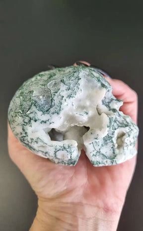 Moss Agate Druzy Brain Crystal Skulls | Large-Crystals-Tragic Beautiful