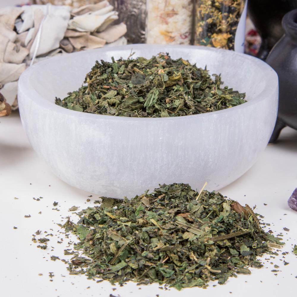 Nettle Leaf | Herbal Alchemy-Aether-Tragic Beautiful