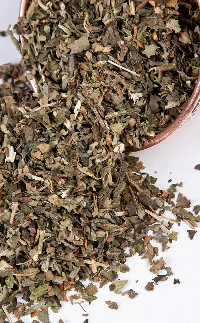 Patchouli Leaf Dried | Witchcraft Herbs-Witch Herbs-Tragic Beautiful