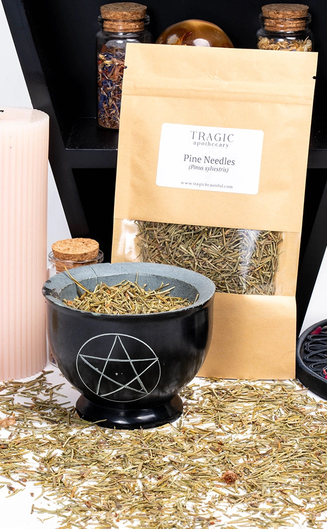 Pine Needles | Witchcraft Herbs