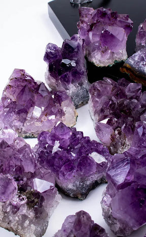 Premium Dark Amethyst Clusters From Brazil-Crystals-Tragic Beautiful