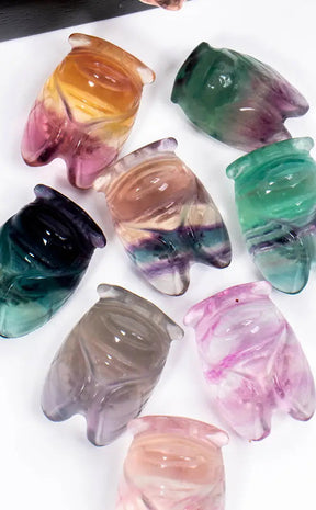 Rainbow Fluorite Mini Cicada-Crystals-Tragic Beautiful