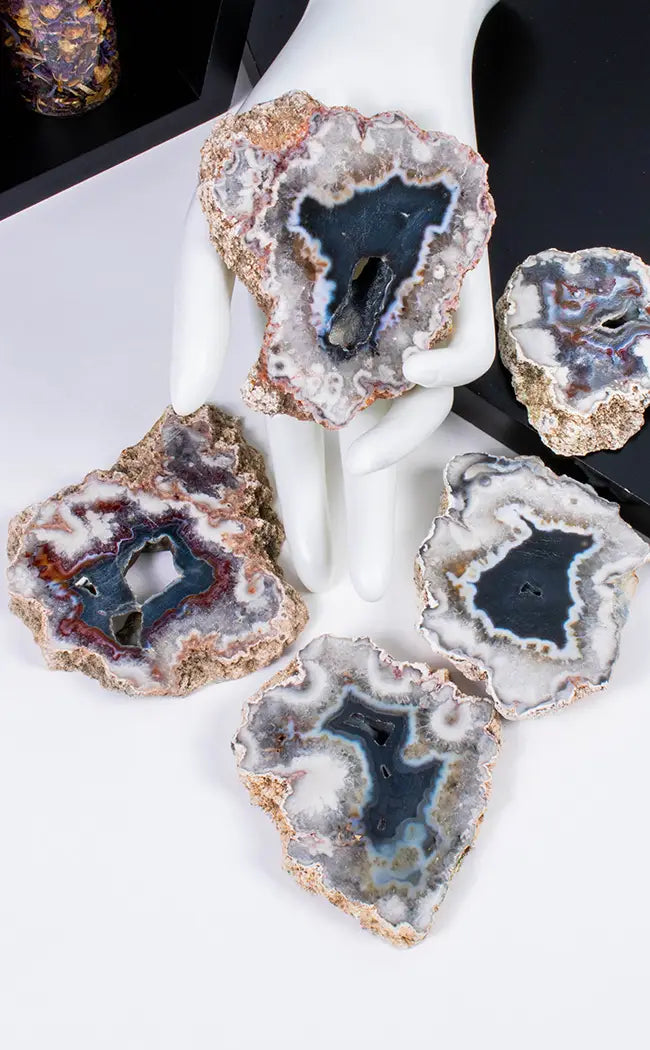 Rare Argentinian Black Agate Slabs-Crystals-Tragic Beautiful