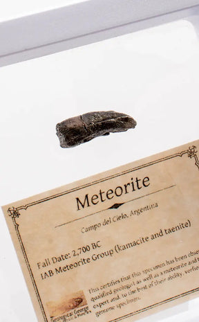 Rare Genuine Meteorite Specimens