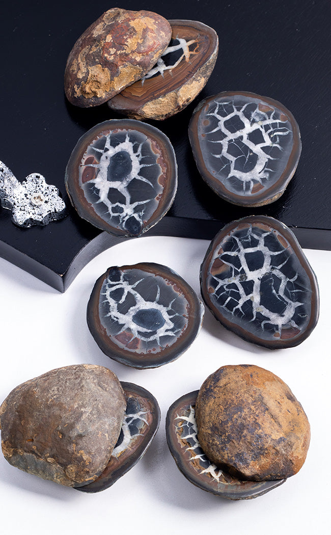 Septarian Nodule Geode | Dragon Stone | Matching Pair-Crystals-Tragic Beautiful