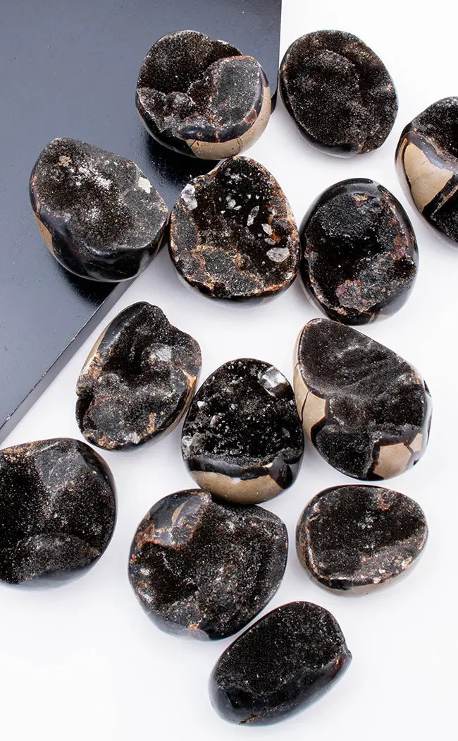 Small Black Druzy Dragon Eggs | Natural Septarian-Crystals-Tragic Beautiful