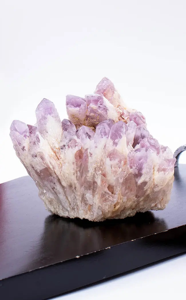 Sugar Amethyst Clusters | Large-Crystals-Tragic Beautiful