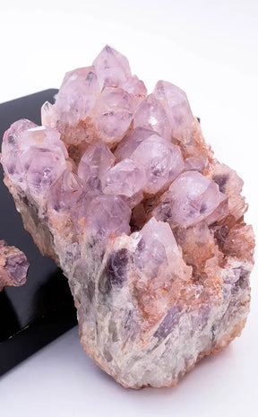 Sugar Amethyst Phantom Cluster | Extra Large-Crystals-Tragic Beautiful