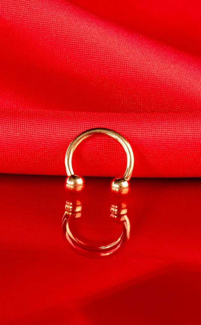 Titanium Horseshoe Ring | Gold-Impaler-Tragic Beautiful